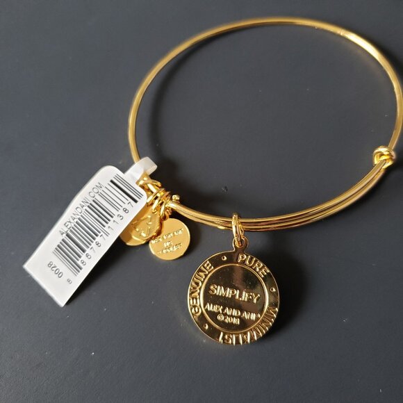 Alex and Ani Simplify Bracelet Bangle  699 - Picture 3 of 4